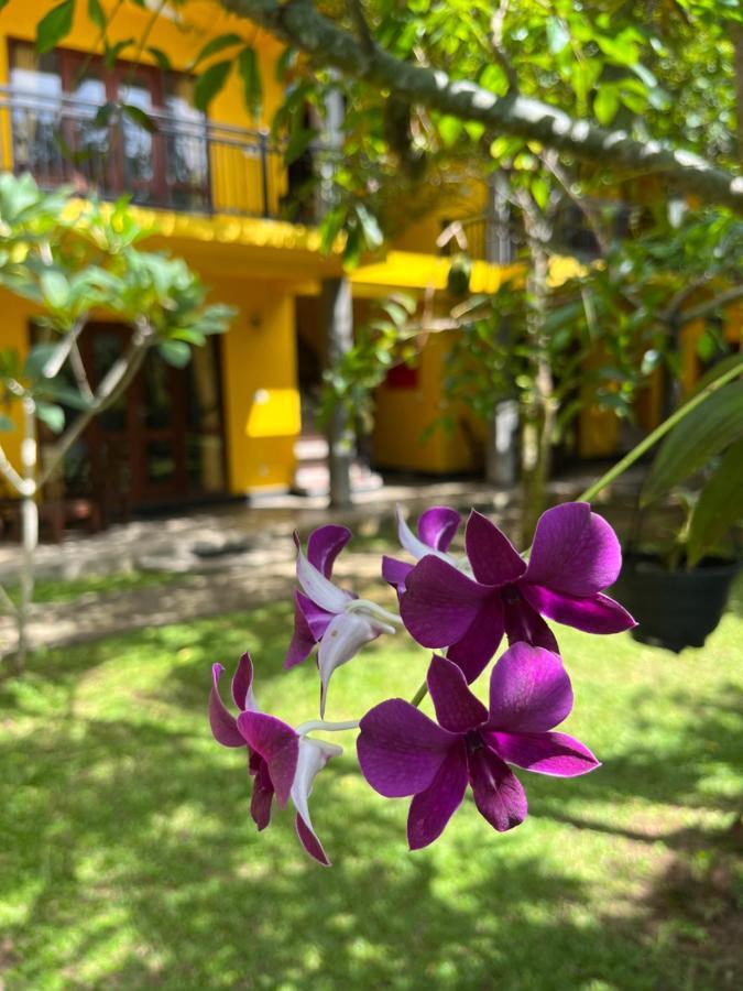 Easy Living Hotel Hikkaduwa Luaran gambar